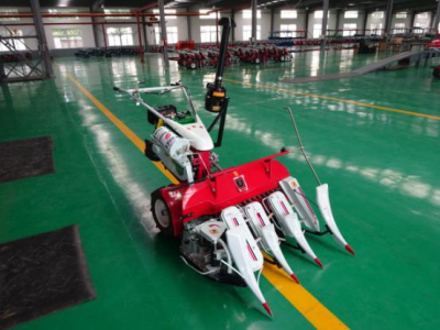 С�͸����C�xُע�����